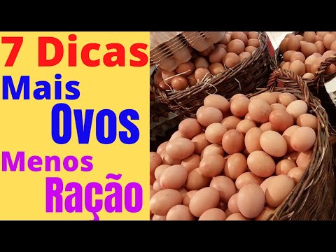 Thumbnail for 7 DICAS para GALINHA botar mais com uma RAÇÃO caseira 30% mais BARATA!