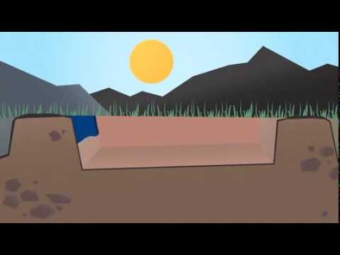 Humedales de Tratamiento de Aguas Residuales, un sistema sostenible