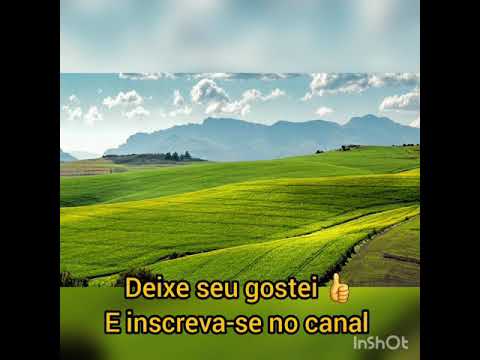 Thumbnail for Rosana - Nem um toque ( Letra )