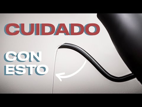 PAVAS con CUELLO DE CISNE: TODO LO QUE TENÉS QUE SABER