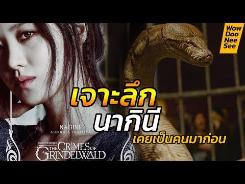 เจาะลึก ! " นากินี "  Fantastic Beasts 2 เคยเป็นคนมาก่อน !? #WowDooNeeSee