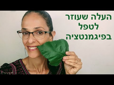 העלה שעוזר לי להבהיר את העור בצורה מדהימה - מתכון לפיגמנטציה