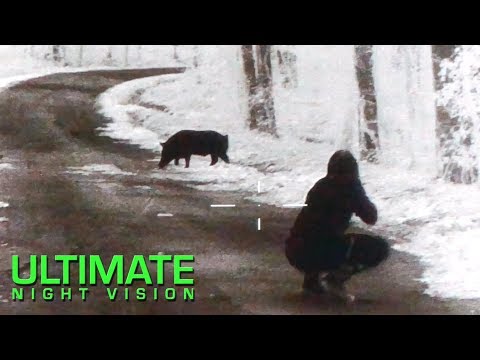 60 Hogs and 7 Coyotes Down | Thermal Hunting with the Flir PTS 536