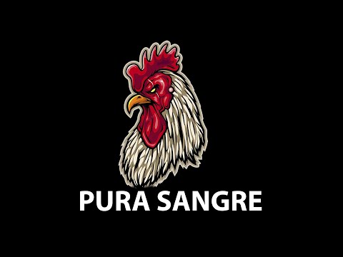 Base de rap agresivo | Pistas de rap agresivo 2022 | Instrumental de rap agresivo 2022 &quot;PURA SANGRE&quot;