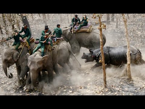 15 grandiose und erschreckende Momente von Tiere AUSSER KONTROLLE!