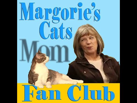 Thumbnail for Crazy Cat Lady Moments