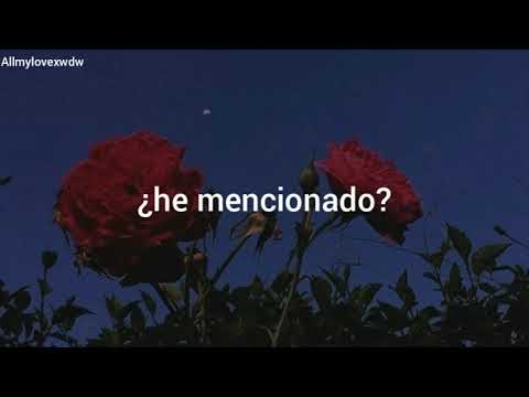 Did I Mention - Mitchell Hope  ( traducida al español)