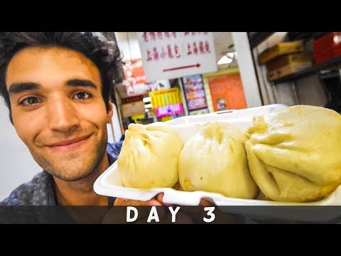 LIVING on STREET FOOD for 24 HOURS in NYC! (Day #3)