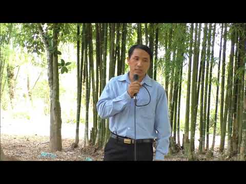 Kwv Txhiaj Ntsuag by Vam Kub Yaj