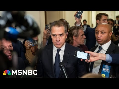 GOP's indicted Hunter Biden 'informant' admits Russian intel ties, DOJ says