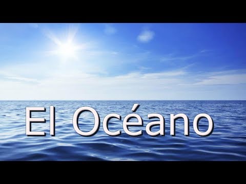 10 datos sobre el océano que aun no conoces.