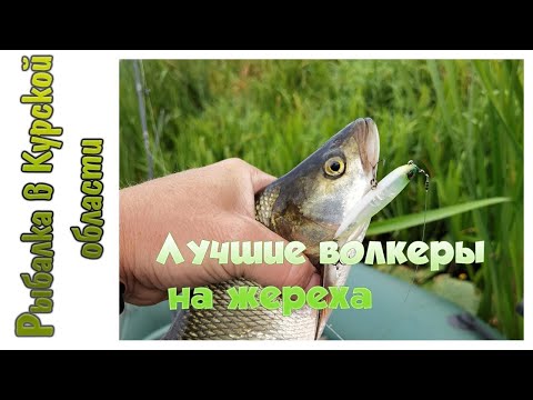 Лучшие волкеры на жереха. Мой набор на сезон 2022