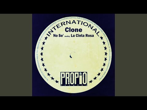 Thumbnail for No Se' / La Cinta Rosa