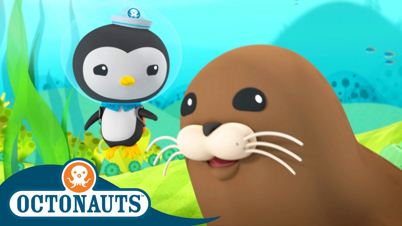 Thumbnail for @Octonauts - The Harbour Seal 🦭 | Season 3 | Full Episodes | Cartoons for Kids