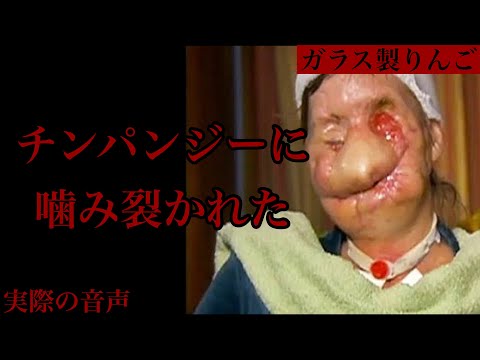 【実際の音声】チンパンジーが女性の顔と両腕を噛みちぎってる！