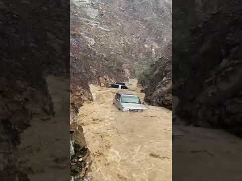إنقاذ 5 أشخاص جرفتهم السيول في وادي شيص بالشارقة