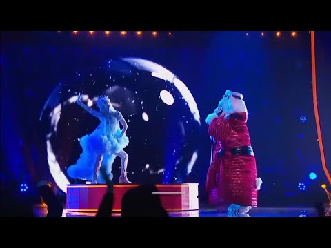 Oso Polar - Suave | Presentación QELM Temporada 2