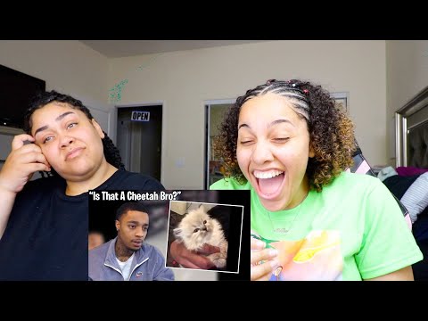 Thumbnail for FlightReacts Dumbest Moments Of 2021 Reaction