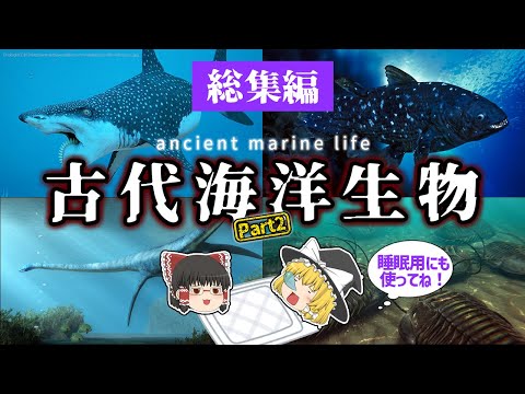 Thumbnail for 【睡眠用・ゆっくり解説】古代の海に潜む、海洋生物たち②【広告最初のみ　途中広告なし】