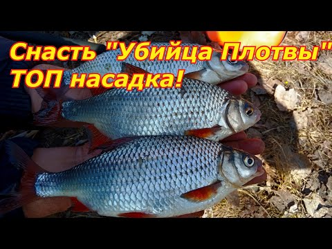 Лучшая оснастка для ловли КРУПНОЙ ПЛОТВЫ!!!