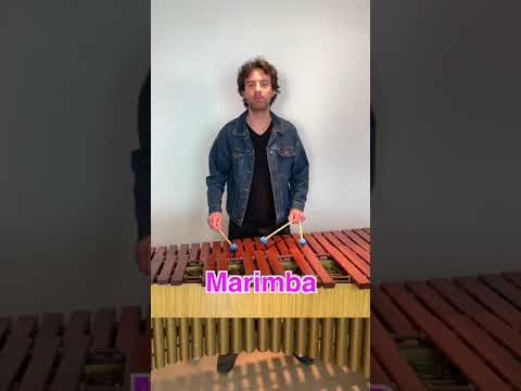 "Opening" iPhone Ringtone on 4 Different Mallet Instruments