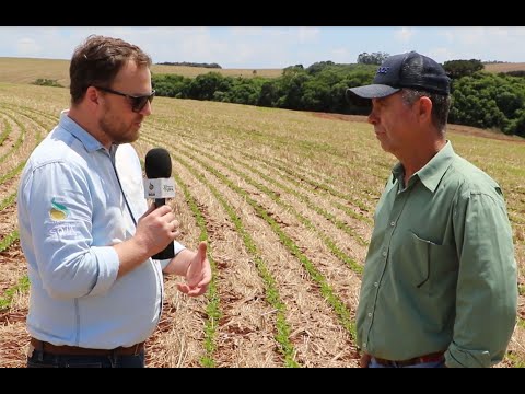 Desafios da Soja-Segundo Episódio