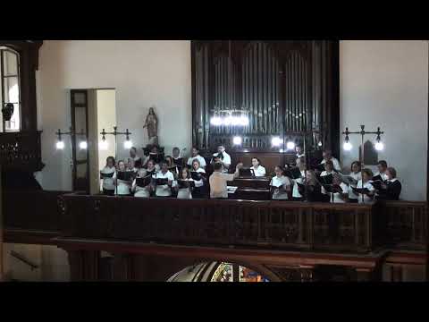 Thumbnail for Todos ficaram cheios (Pe. Miguel Carneiro)