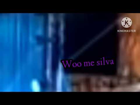 Thumbnail for Woo me silva Producions Logo 2003