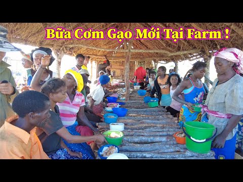 Thumbnail for Linh Philip || Cơm Gạo Mới ! Ngày Được Mong Chờ Nhất Sau Khi Thu Hoạch Lúa Tại Việt Phi Farm !