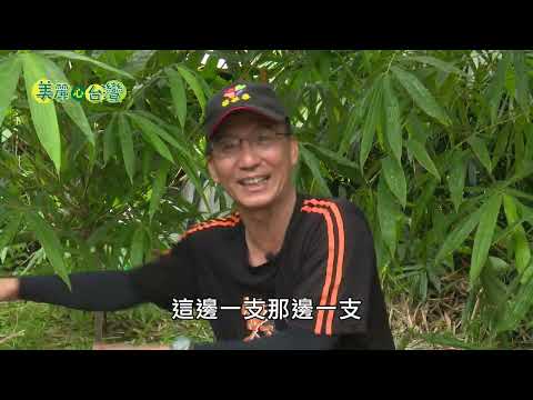 【屏東潮州】公務生涯告一段落 陳景行推廣無毒甜龍筍|有機無毒|238|#美麗心台灣