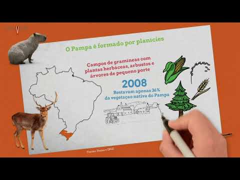 Conhecimento em um click | Bioma Pampa