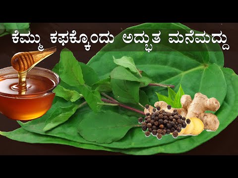 Thumbnail for (ಕಫಕ್ಕೊಂದು ಅದ್ಭುತ ಮನೆಮದ್ದು) Home remedy Cough Cold Kapha | Kemmu kafa mane maddu | Chest Congestion