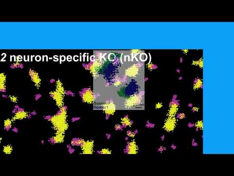 C22E0805CB0B55CB7388F488611145