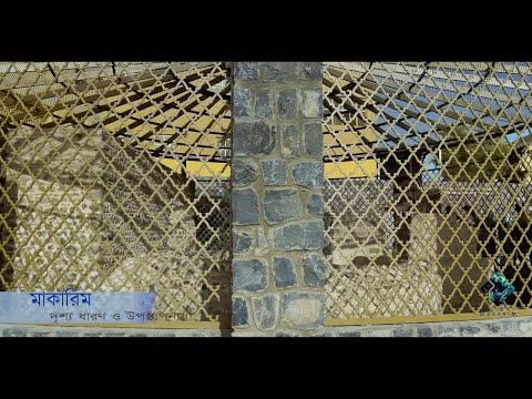 রাসুল  ﷺ কে শেষ গোসল দেওয়া হলো যে কূপের পানিতে - মাকারিম - ২৭২