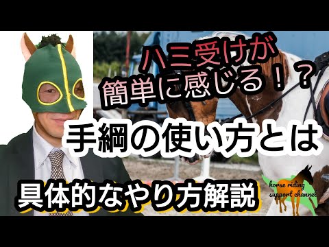 乗馬のハミ受けが簡単に感じる方法とは！？　動画で分かるハミ受けに向けた手綱の使い方