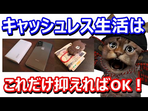 キャッシュレスな生活をする上で気にかけている10の事。お得に楽しむならこれだけおさえればOK
