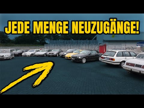 Thumbnail for Unsere aktuellen Neuzugänge – jetzt wird’s wieder voll!