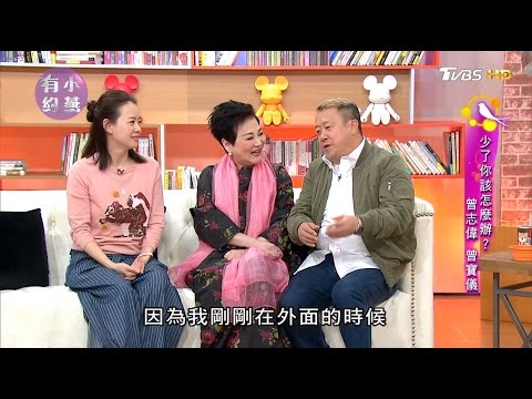 曾志偉、曾寶儀 少了你該怎麼辦?小燕有約 20170404 (完整版)