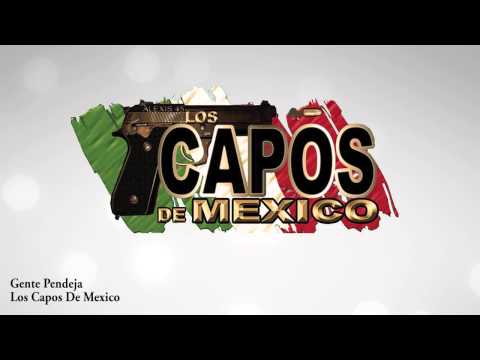 Thumbnail for Los Capos De Mexico - Gente Pendeja