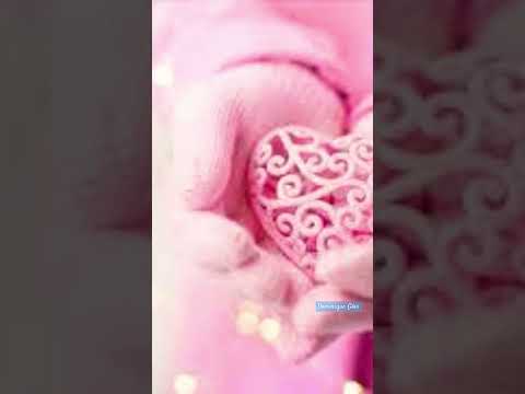 Tarot Fraternidade Raio Rubi, Dourado, O Corpo e a Alma 21 junho 2023