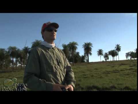 Thumbnail for DICA DE COMO FAZER ZARA E STICK COM A ISCA ARTIFICIAL