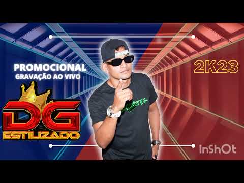 RAVE BAGACEIRA - DG ESTILIZADO Atualizando (cover)