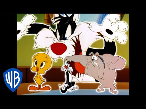 Thumbnail for Looney Tunes | Catching Tweety | Classic Cartoon Compilation | WB Kids