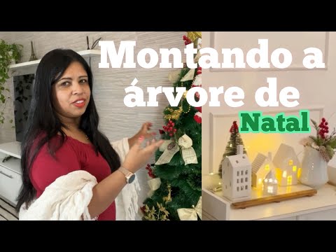 Thumbnail for Montando a árvore de natal, decorar a casa