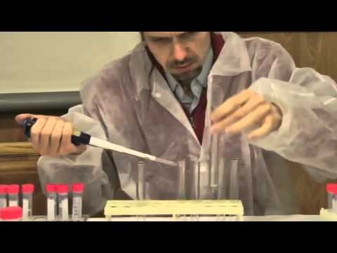 Биохимия. Качественные реакции для определения белков, аминокислот и углеводов (С. Смирнов)