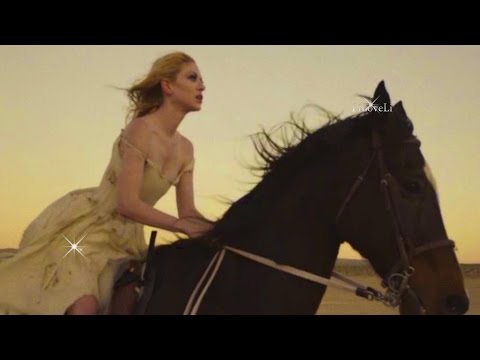 Thumbnail for Stive Morgan - If Will Come Tomorrow