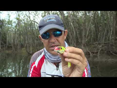 Thumbnail for COMO USAR SAPOS (FROGS) PARA PESCAR TRAÍRAS?