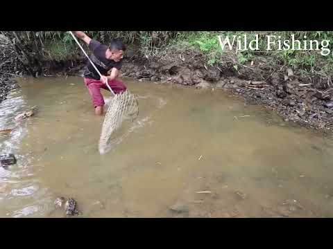 Skills Fishing Exciting, Homemade Machine Racer Go Catch Many Fish With A Large Capacity Pump