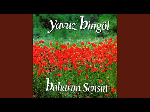 Thumbnail for Yarım Söz (Enstrümantal)