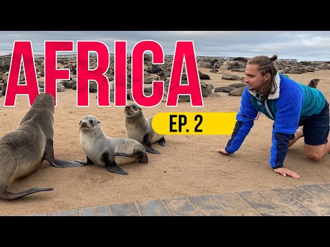 COTOFANA, PASARE CALATOARE - NAMIBIA 2